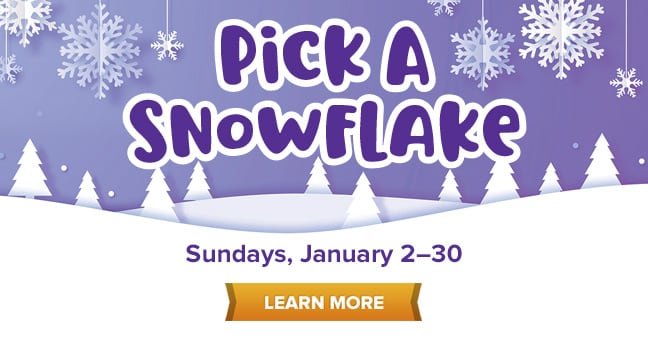 Pick A Snowflake