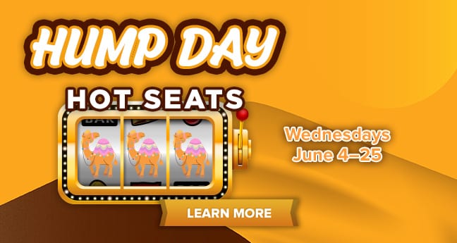Hump Day Hot Seats